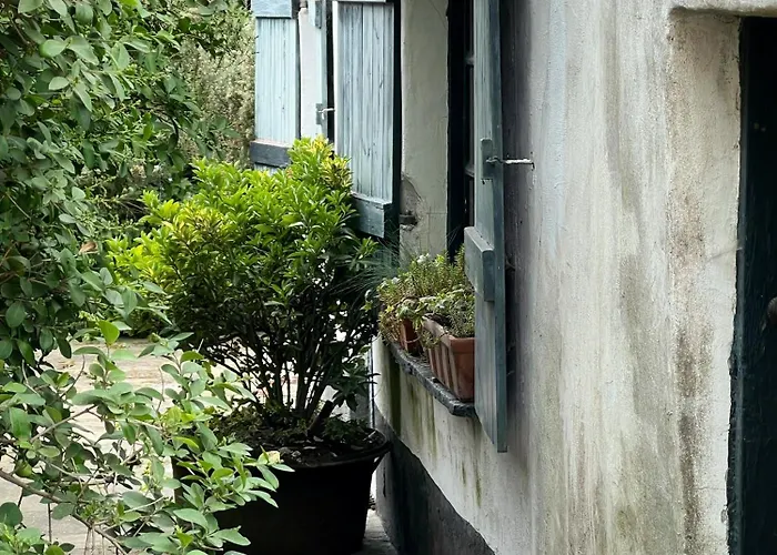 Duinhelm Vakantiestudio Mariakerke - A Cosy Place By The Sea Apartment *