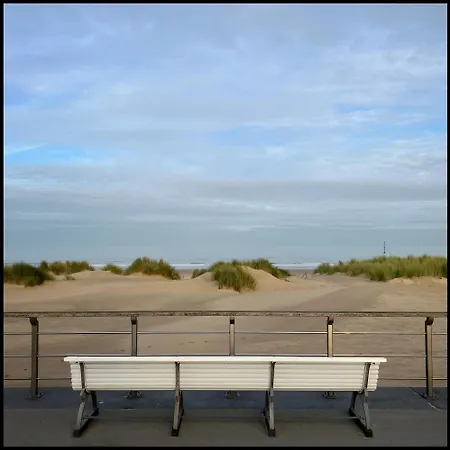 Duinhelm Vakantiestudio Mariakerke - A Cosy Place By The Sea