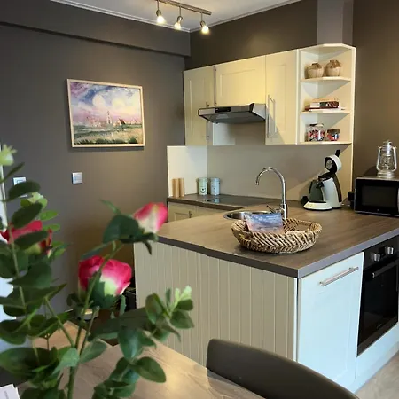 公寓 Duinhelm Vakantiestudio Mariakerke - A Cosy Place By The Sea