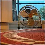 Duinhelm Vakantiestudio Mariakerke - A Cosy Place By The Sea Lejlighed Oostende